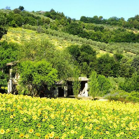 Appartamenti Verde Collina Umbra 베바냐 외부 사진
