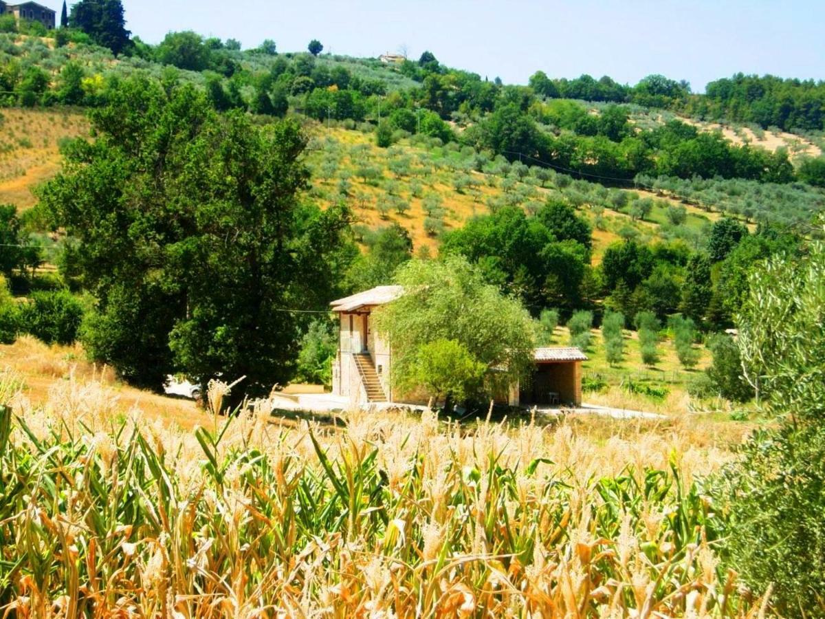 Appartamenti Verde Collina Umbra 베바냐 외부 사진